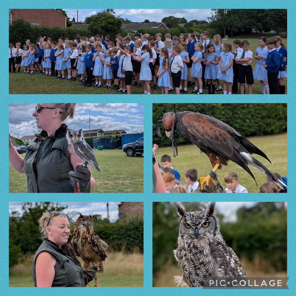 This week, our end of year Attendance Award Winners enjoyed a special experience with KL Falconry who brought a variety of birds of prey into school. The children learned about the birds, watched them in flight and even got up close with some of them 👏⭐️