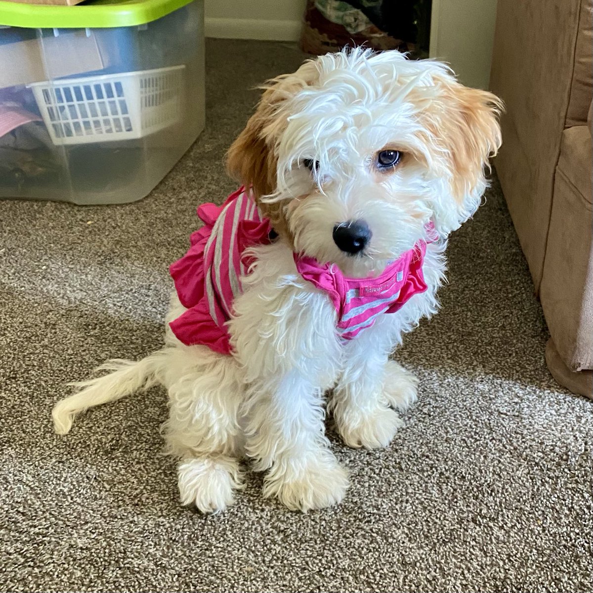 Baby Mabel 💖