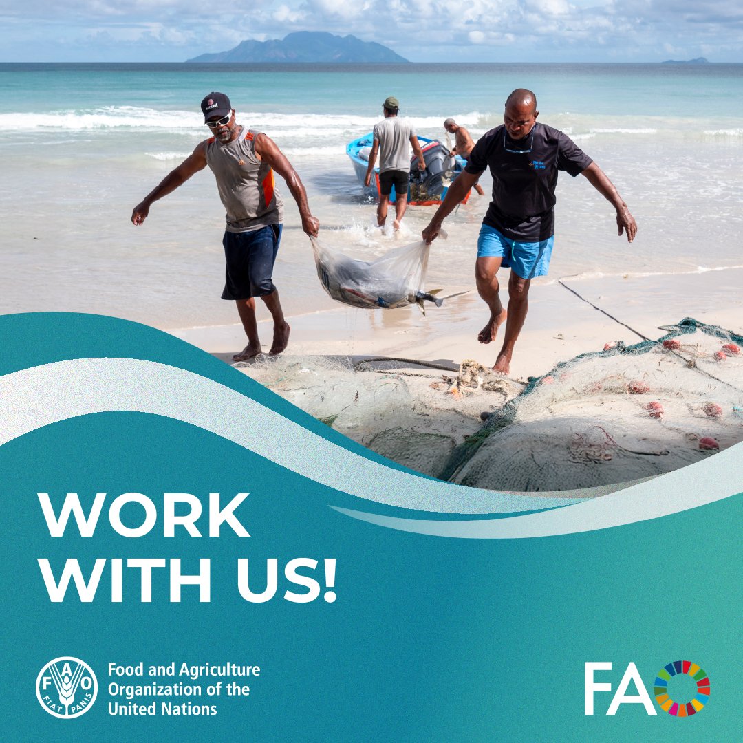 FAOfish's tweet image. 🚨 We're hiring! @FAOfish is looking for a Fishery Officer (IOTC Compliance) based in #Seychelles.
Join us to support sustainable tuna fisheries, ensure compliance, and promote marine conservation in the Indian Ocean.
Apply by July 23 ➡️jobs.fao.org/careersection/…