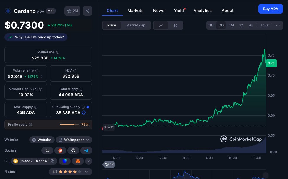 I genuinely don't understand who still buys cardano?