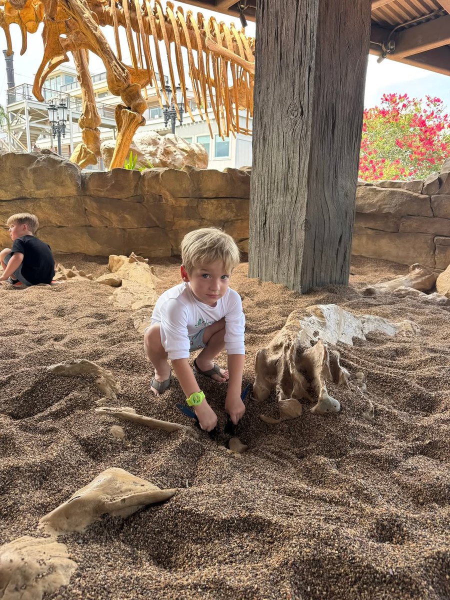What fossils will you find in the Paleo Zone? ⛏️⁣