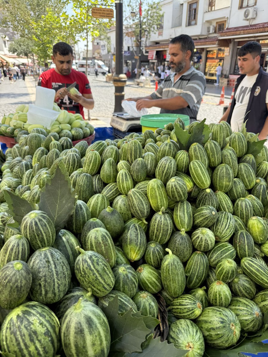 Nedir bu?
Nerede yetişiyor?

<a href="/kayamerthasan_/">Hasan Mert Kaya</a>