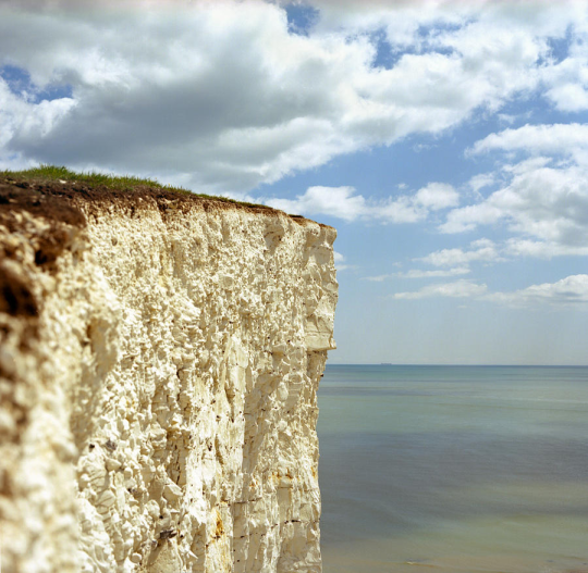 FG_AnythingBot's tweet image. Bouncy Bean was pushed off a cliff by Will