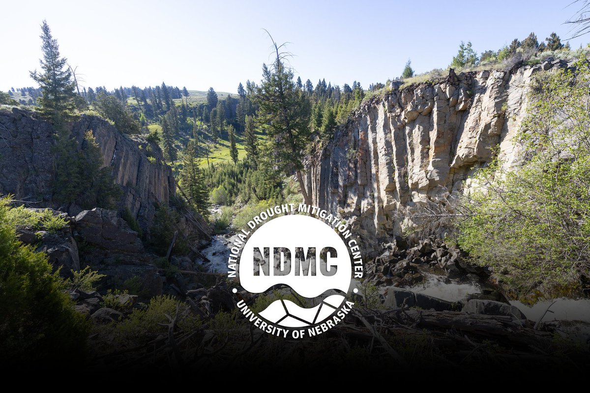 DroughtCenter's tweet image. A flash drought developed in the Northwest in June, driven in part by over 26 straight days without rain in Oregon and Washington.
Read more in the June drought climate summary: storymaps.arcgis.com/stories/af1b1f…
#drought #drought2025 #USA #June2025