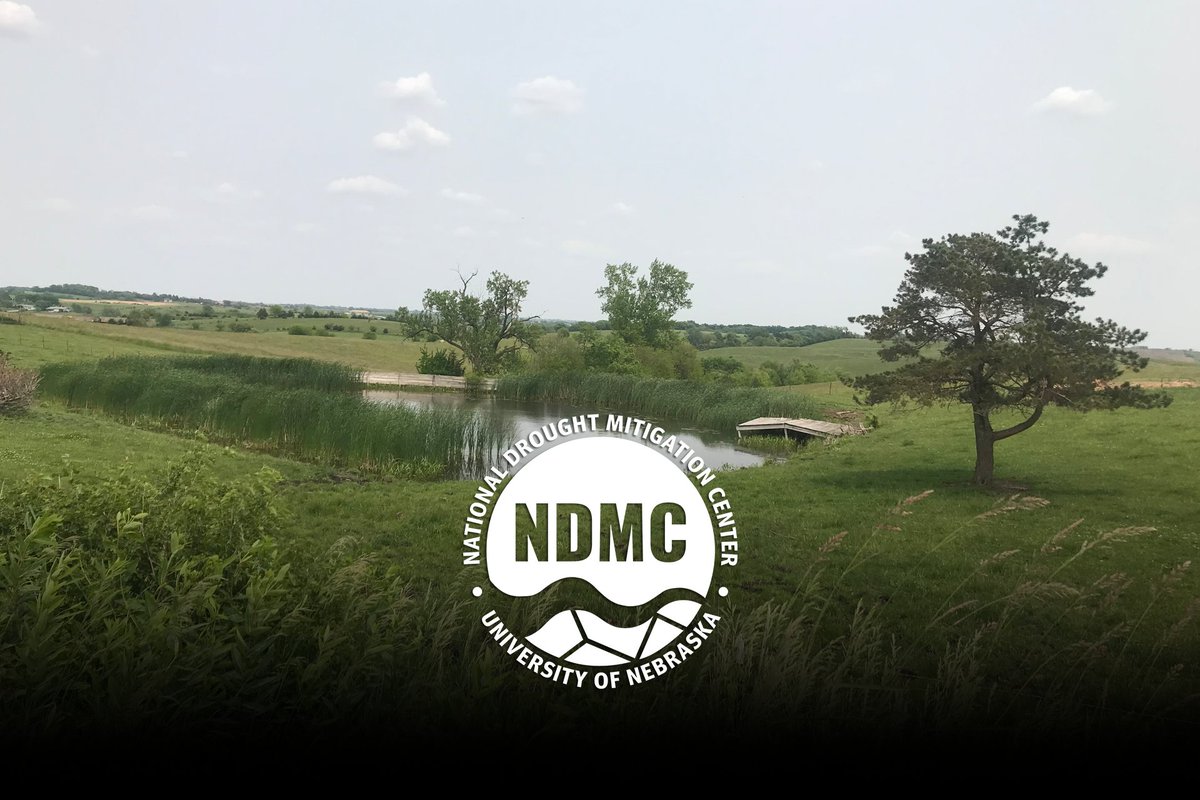 DroughtCenter's tweet image. Water supply issues plagued the nation in parts of the East Coast, Midwest and West throughout June.
Read more in the June drought impacts summary: storymaps.arcgis.com/stories/d56ec2…
#drought #drought2025 #USA #June2025