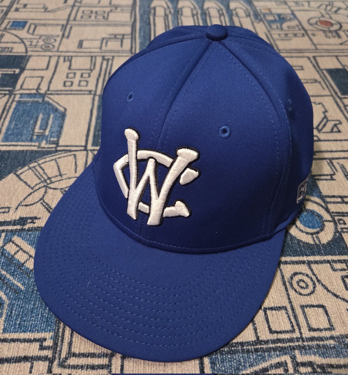 MinorLeagueNerd's tweet image. Today's Unaffiliated Friday #capoftheday is the @WCThunderBolts. Bobby Jenks managed them last season, taking medical leave of absence before this season. #HatTwitter