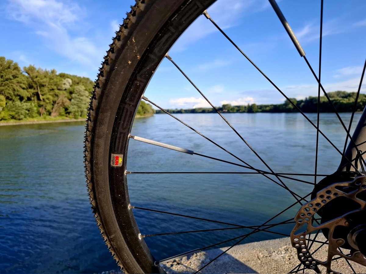 ThomasWalach's tweet image. Perfektes Radwetter heute Abend in Wien.