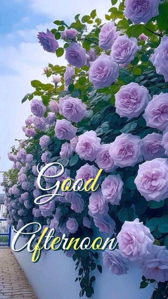 <a href="/SandraLou_4/">🌺Sandra🌺 ✝️🇺🇸💋👠🌅🌴🦩🕶️🩵🐱🐶🐎🐅💜</a>