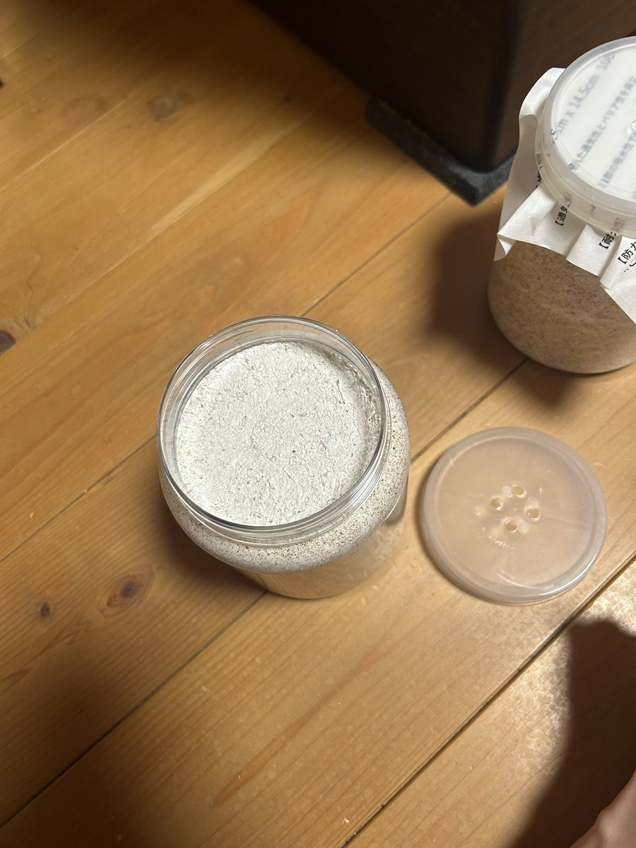 ワインセラー2台目着弾

傷ありアウトレット商品で発見して72Lサイズ新品が2万円で即購入。
ファンのカバー少し凹みある程度でいい買い物になりました。

ペルチェ式で冬場の加温できないので低温種管理と菌糸の培養頑張ってもらいます。