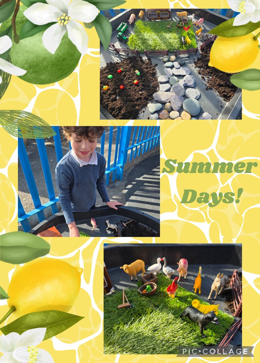 GrangeMrsK (@grangemrsk) on Twitter photo Following on from our bug hunt, we have created our own farm today to create a welcoming home to the insects in our garden. <a href="/GrangeMissA/">GrangeMissA</a> <a href="/GrangeMrsMcG/">Mrs McGilloway</a> #Grangeoutdoorprovision Following on from our bug hunt, we have created our own farm today to create a welcoming home to the insects in our garden. <a href="/GrangeMissA/">GrangeMissA</a> <a href="/GrangeMrsMcG/">Mrs McGilloway</a> #Grangeoutdoorprovision