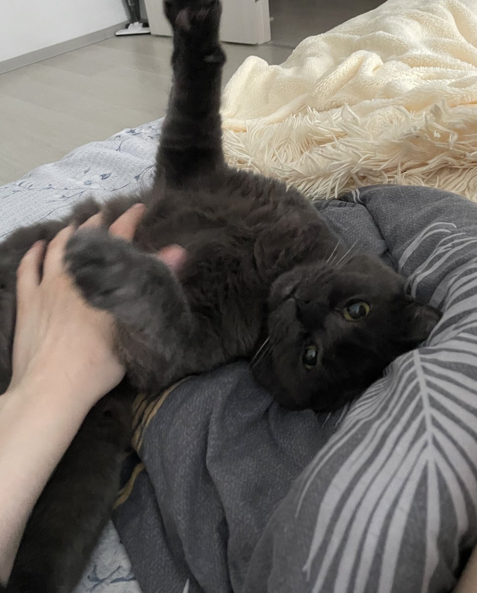 логическое завершение дня