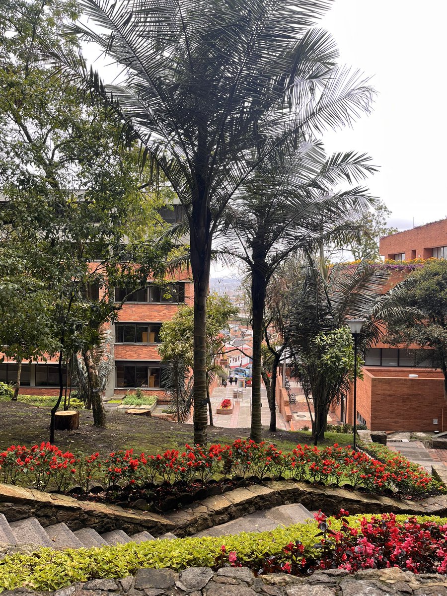 💚 <a href="/UExternado/">U.Externado</a>