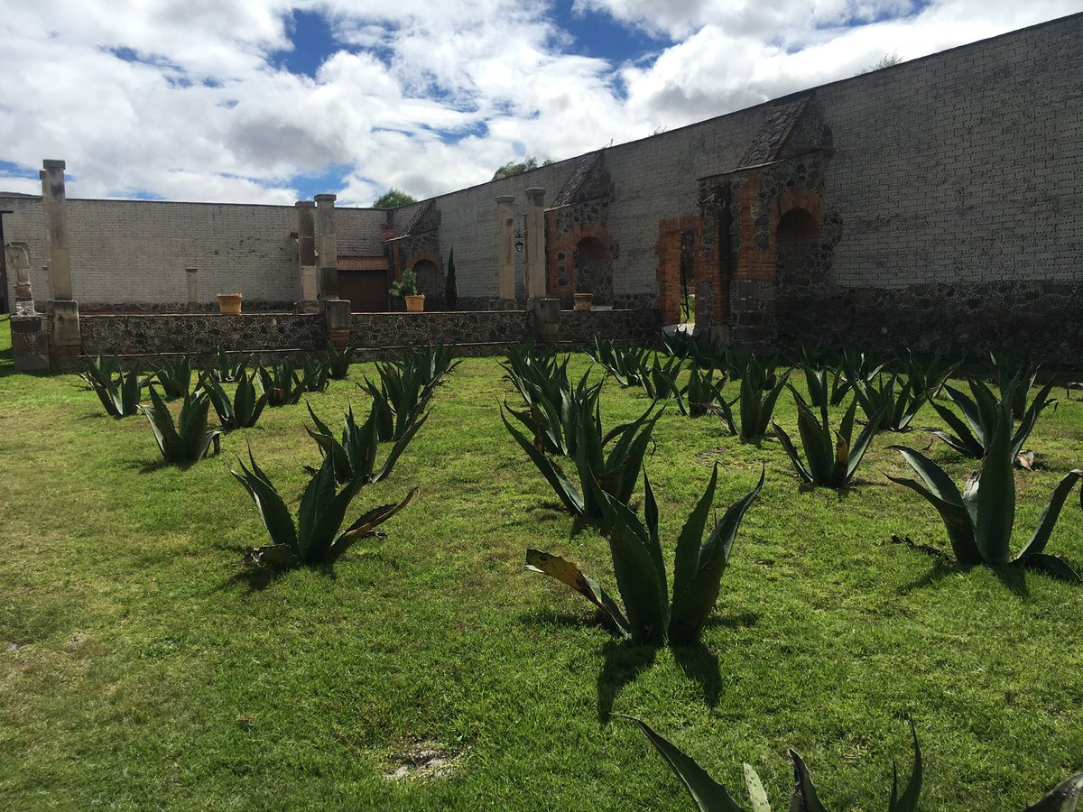 💍🌿 ¿Te imaginas casarte en una hacienda construida por el mismo arquitecto del Ángel de la Independencia?
Las haciendas de Hidalgo no solo guardan historia, ¡también son tendencia para bodas inolvidables!

contrareplica.mx/nota-Haciendas…
