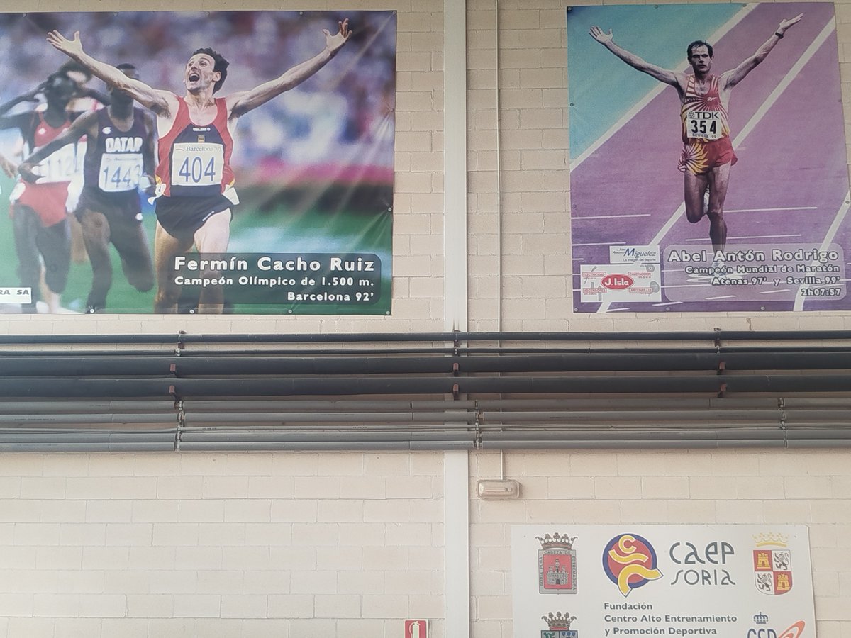 Ramón Zapata Martinez tweet media