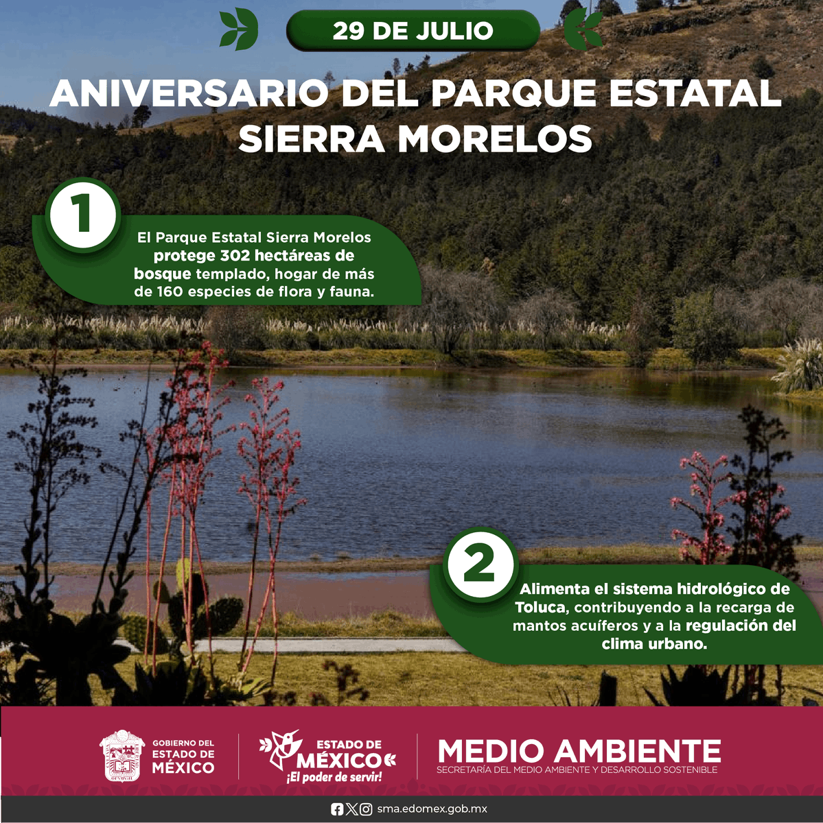 #SabiasQué es el único lugar de equilibrio ecológico y de salud ambiental que tiene la población de la ciudad Toluca.
Vive en el experiencias como: Senderismo, picnic, investigación, #EducaciónAmbiental, fotografía de paisaje, eventos, ciclismo entre otras más.
#MedioAmbiente