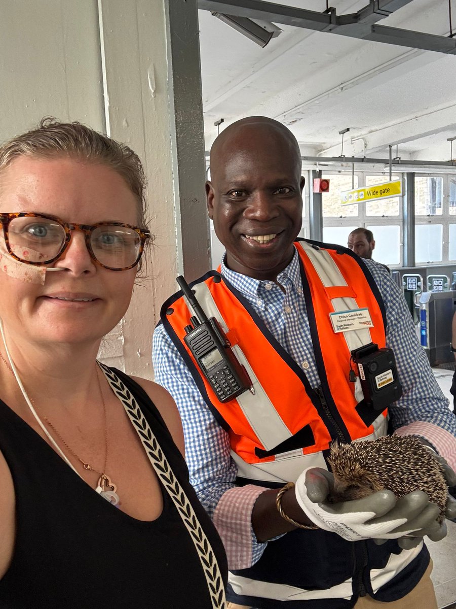 Huge thanks to Chico who delivered the hedgehog who has now been called Chico, after he hand delivered him to #Merton hedgehog rescue at #Wimbledon station after he was found on a train. Well done <a href="/SW_Help/">SWR Help</a> for having staff that care.