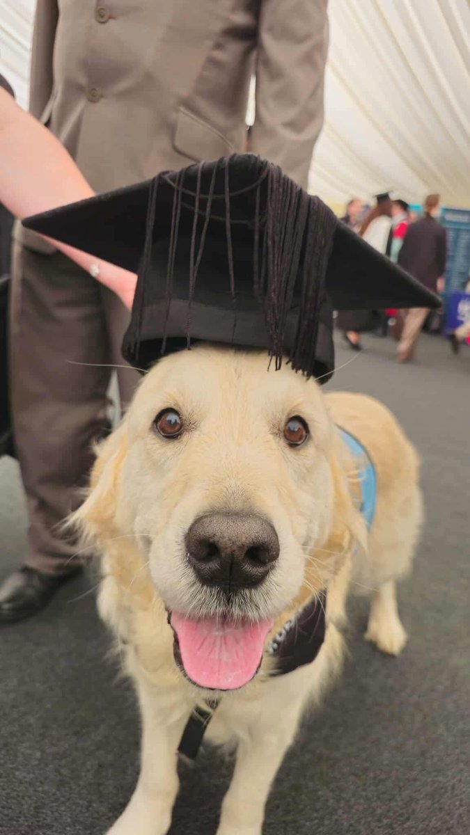 lyn_golden's tweet image. I’ve #graduated in a Masters in Cuddles.
#graduation #graduationday