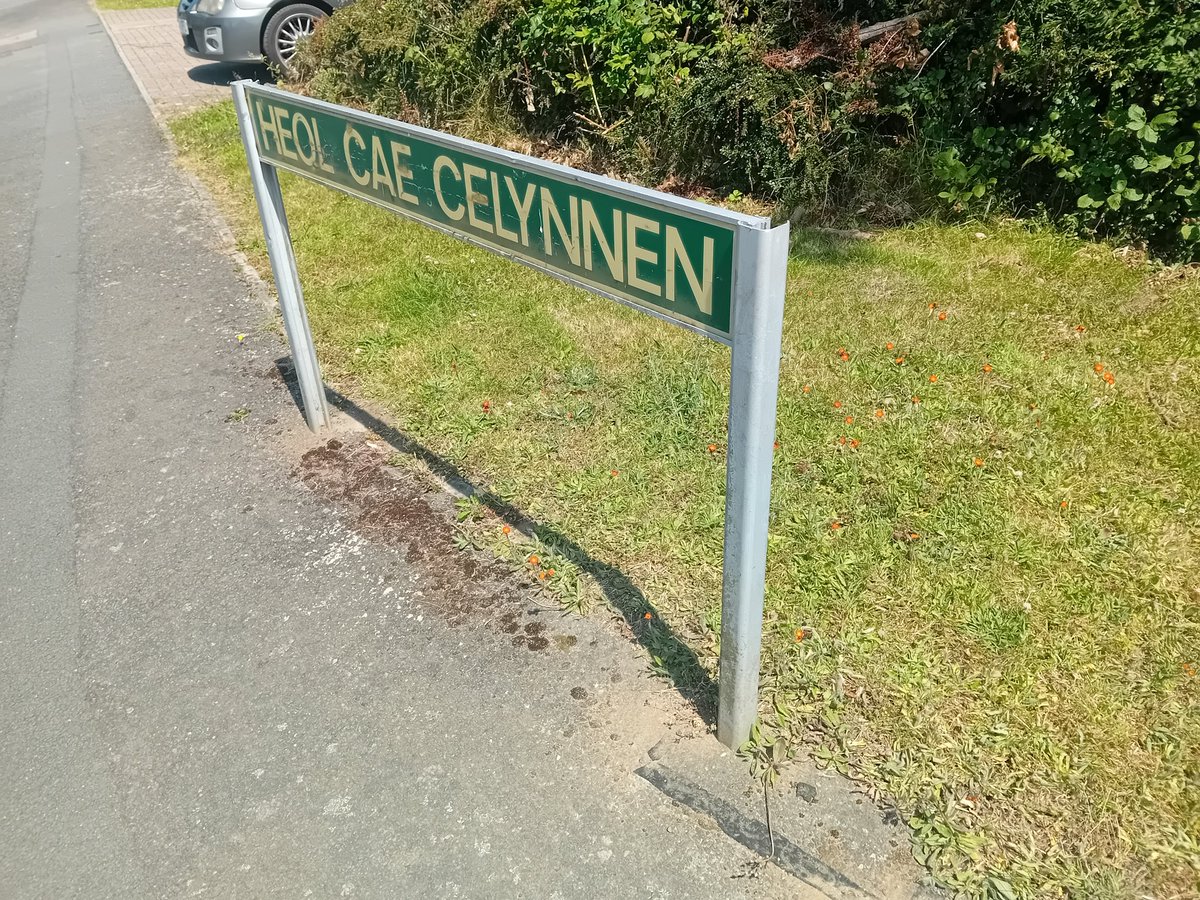 pritchar13's tweet image. A 🔥 one in Heol Cae Celynnen this afternoon. It was good to speak to residents about local issues. Back out on the 🚪 next week.