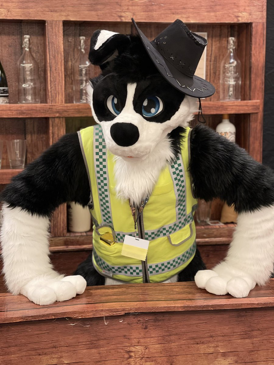 Dexter_Collie's tweet image. HOW TO FIND THIS DAWG AT AURAWRA 🎉 

✅ Come say Hi
✅ Ask for Hugs
✅ Bring Hard Solos

❌ Don’t throw my ball in traffic
#aurawra