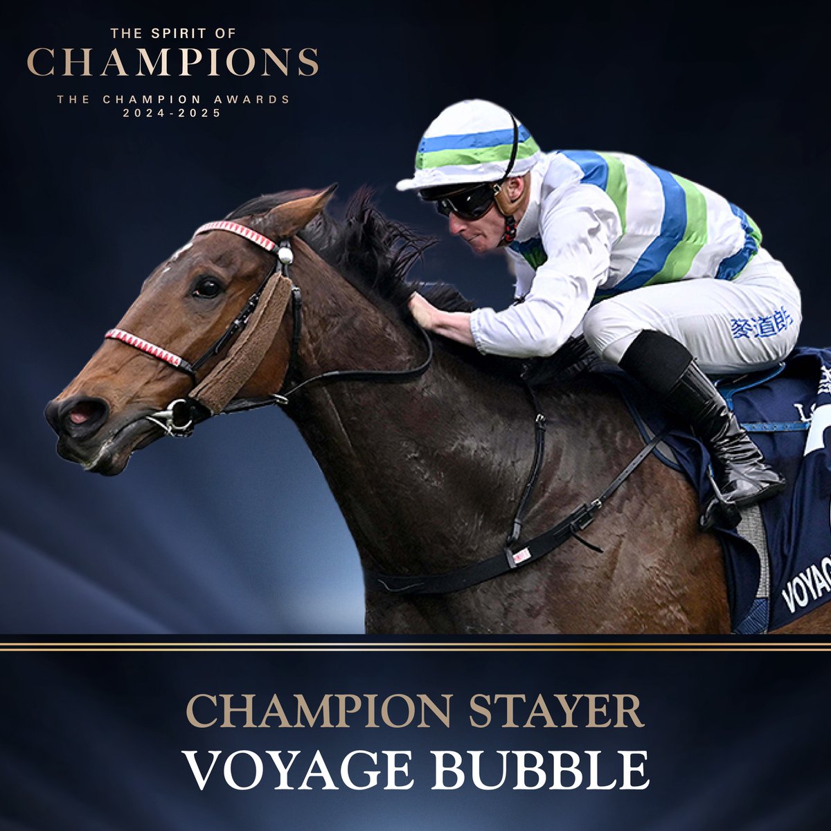 ⭐️⭐️ Voyage Bubble ⭐️⭐️

Our second #TripleCrown hero in history, Voyage Bubble is crowned 2024/25 Champion Stayer of Hong Kong! 👑

#ChampionAwards | #HKracing