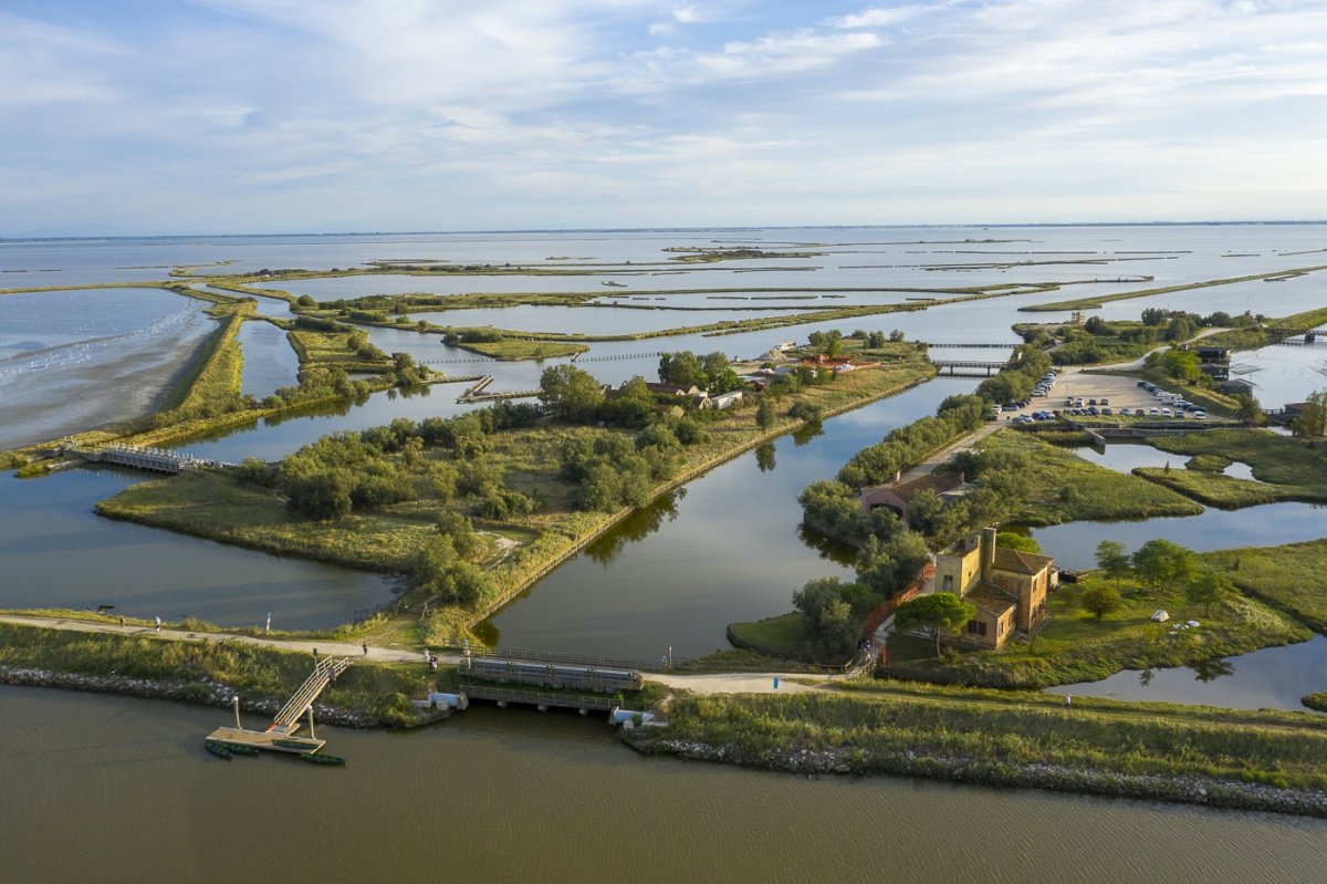 📷 Se fotografia e birdwatching sono le tue passioni, qui a Comacchio puoi scegliere con chi condividerle! Regalati un 𝐭𝐨𝐮𝐫 𝐩𝐞𝐫𝐬𝐨𝐧𝐚𝐥𝐢𝐳𝐳𝐚𝐭𝐨 con chi vuoi, a bordo di una piccola imbarcazione da massimo 6 posti 👉 t.ly/UvZ9z