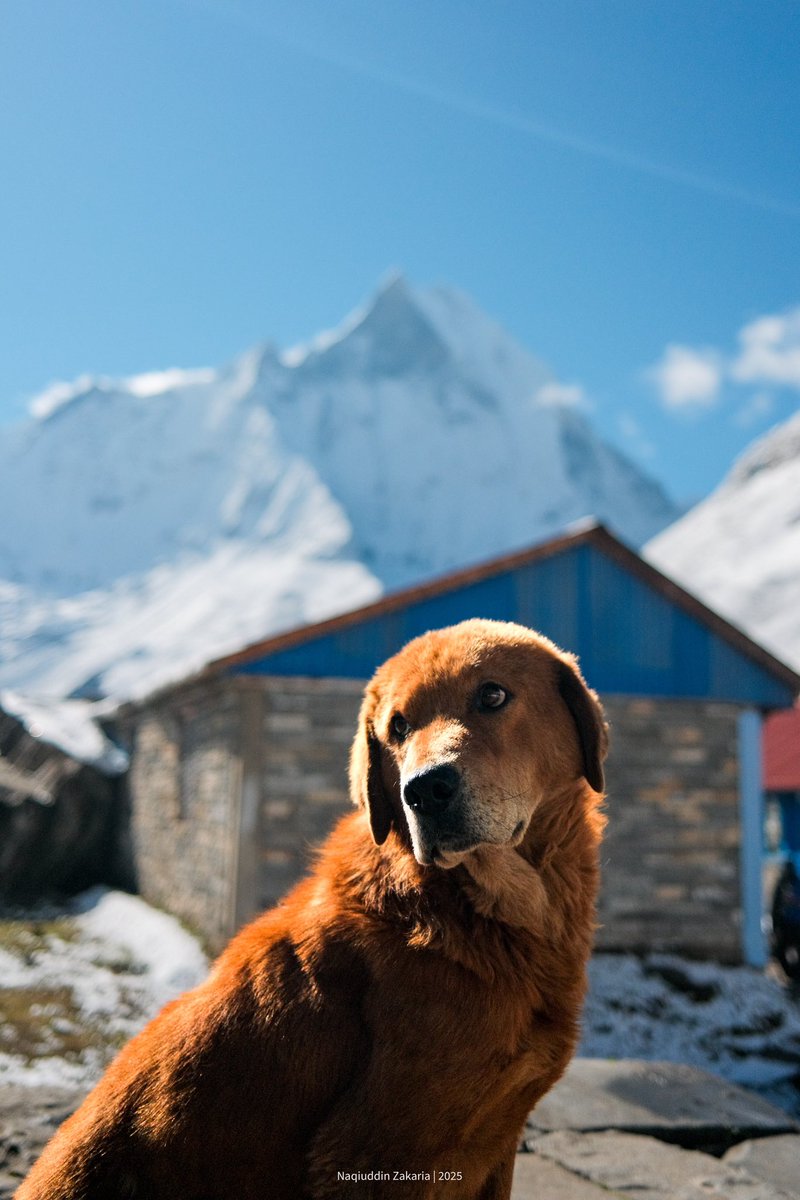 Surrounded by Mountains

📍Annapurna Base Camp - ABC, Nepal
📷 Fujifilm x100v