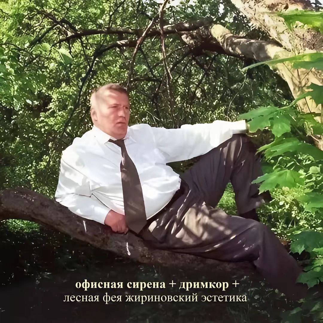 Gribanov ☢ ᓚᘏᗢ (@gribanov) on Twitter photo 