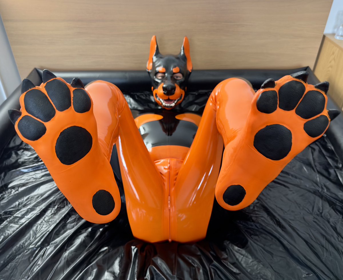 I can't wait for my daily dose of belly rubs! Bring it on!