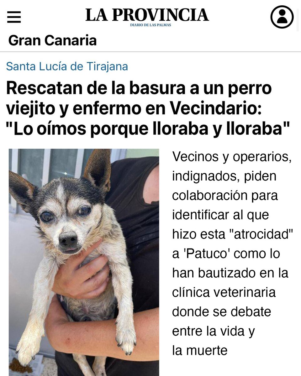 ❌Tirar a un perro anciano y enfermo a la basura NO puede salir gratis.

🐶Rescataron a Patuco en un contenedor, llorando y con un tumor.

🚫¿Hasta cuándo seguirán estos actos sin castigo?

⚖Si llegamos al Congreso vamos a meter en la cárcel a todo el que maltrate a un animal.