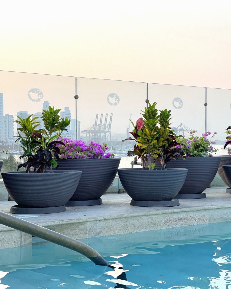 🌅💦 Summer vibes, poolside chills, and a dreamy sunset… The Delano Planters set the scene for effortless relaxation. Their sleek, round design is perfect for bold blooms, lush greens, or succulents — ideal for grouping around the pool or patio.