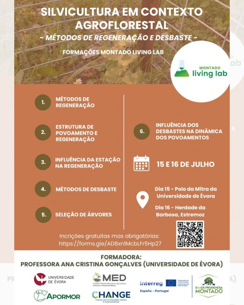 sosprodehesa's tweet image. 🌳 Formación Living Lab de Montado: «Silvicultura en un contexto agroforestal - Métodos de regeneración y aclareo»
🗓️ 15 de julio y 16 de julio
🎯 Inscripción gratuita, obligatoria:
forms.gle/o2vZf57qwWxNQQ…