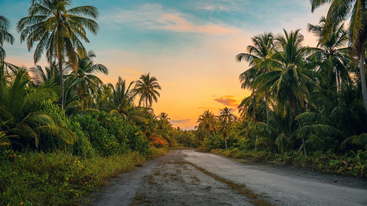 durham_uni's tweet image. New research from our Biosciences department shows how tropical plants in Fiji keep rival ants from fighting – by giving them separate ’flats’.
Learn more: brnw.ch/21wU4ut
@Chomicki_G @DurBiol @ScienceMagazine