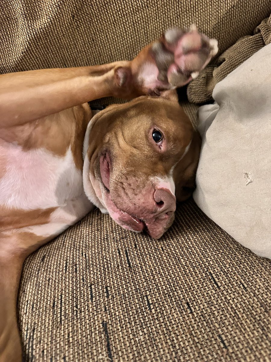 Danielle Kunce tweet media