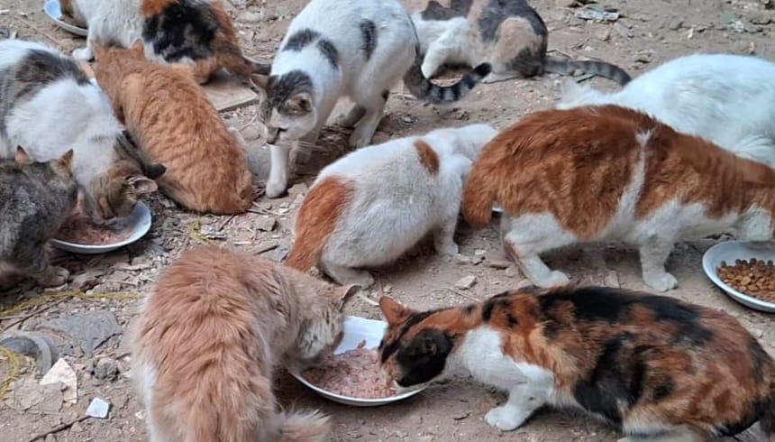 We hesitated a lot to reveal to you our impossible situation reality in order to preserve what remains of our dignity, but the situation has become extremely dangerous &amp; can't be ignored. Today we went to buy water &amp; flour with all the money we had, but we were shocked by the