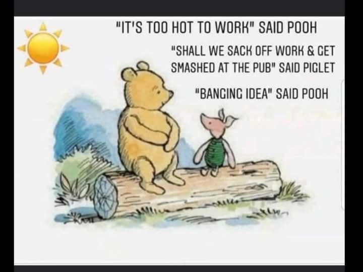 🌞 🍻