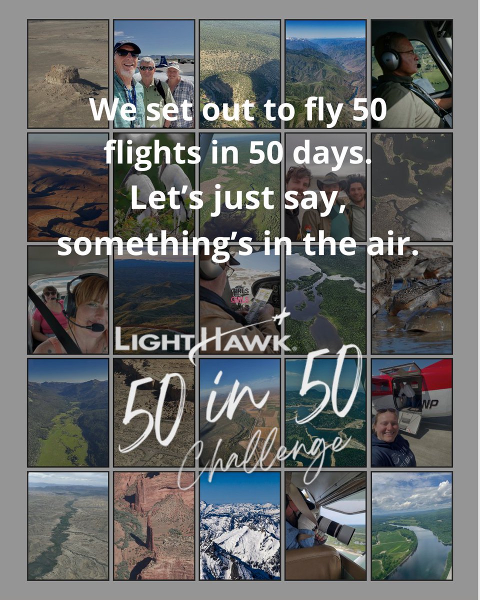 lighthawk_org's tweet image. Something exciting just happened.
We’re keeping it quiet… for now.
Big reveal Tuesday.
#50in50Challenge #ConservationInFlight #LightHawk