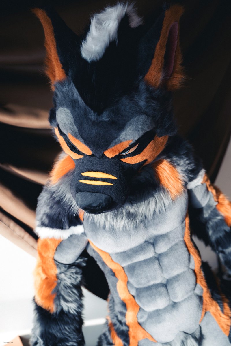 AK-9 →Infurnity (@ak9_gs) on Twitter photo Hey! I’m AK-9! a German Shepherd🐕💪
You can call me AK or Nine!
I’m from <a href="/kigurumikagetsu/">きぐるみ花月/Kigurumi Kagetsu</a> Hey! I’m AK-9! a German Shepherd🐕💪
You can call me AK or Nine!
I’m from <a href="/kigurumikagetsu/">きぐるみ花月/Kigurumi Kagetsu</a>