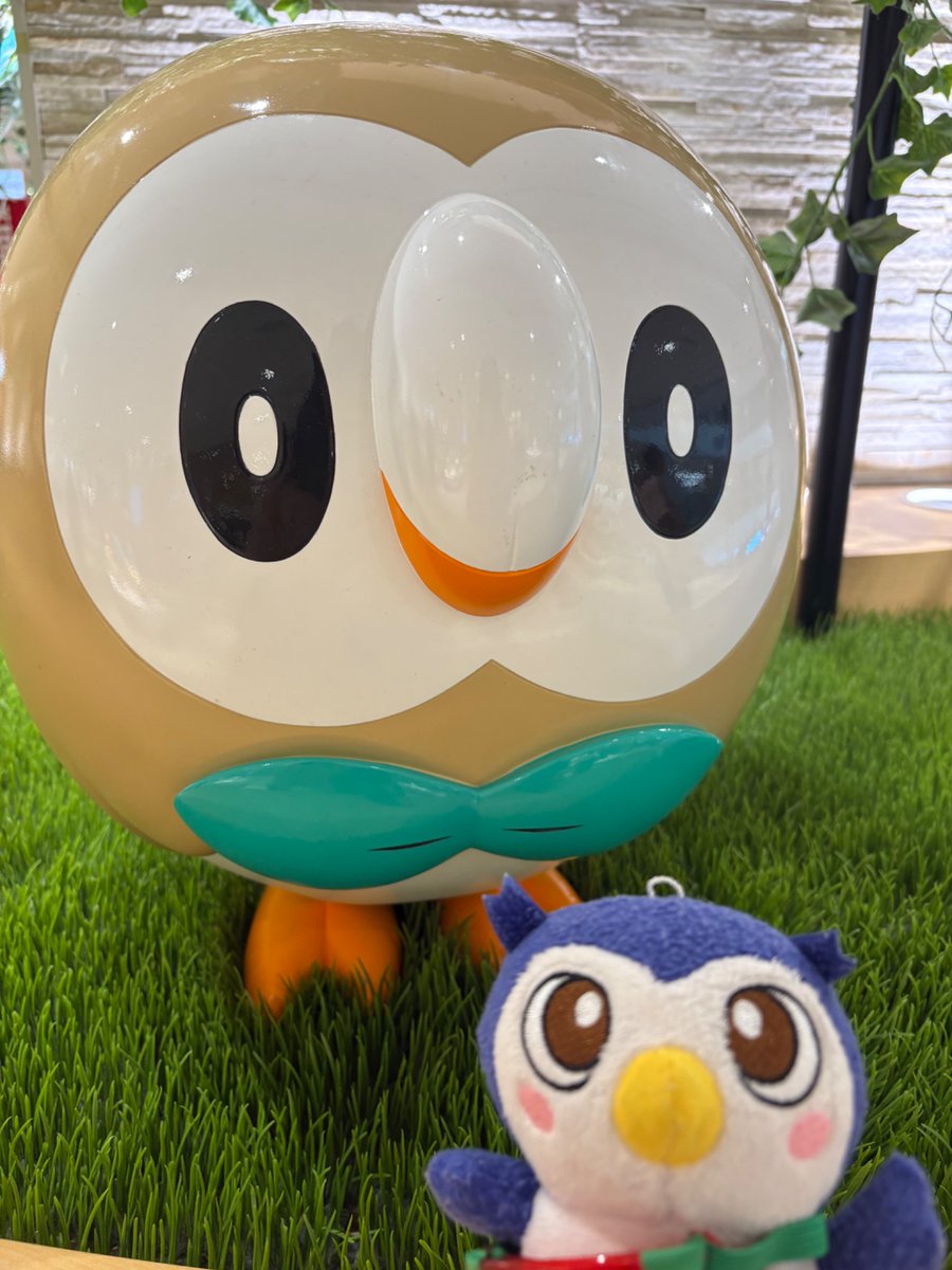 EnNvnjh's tweet image. 