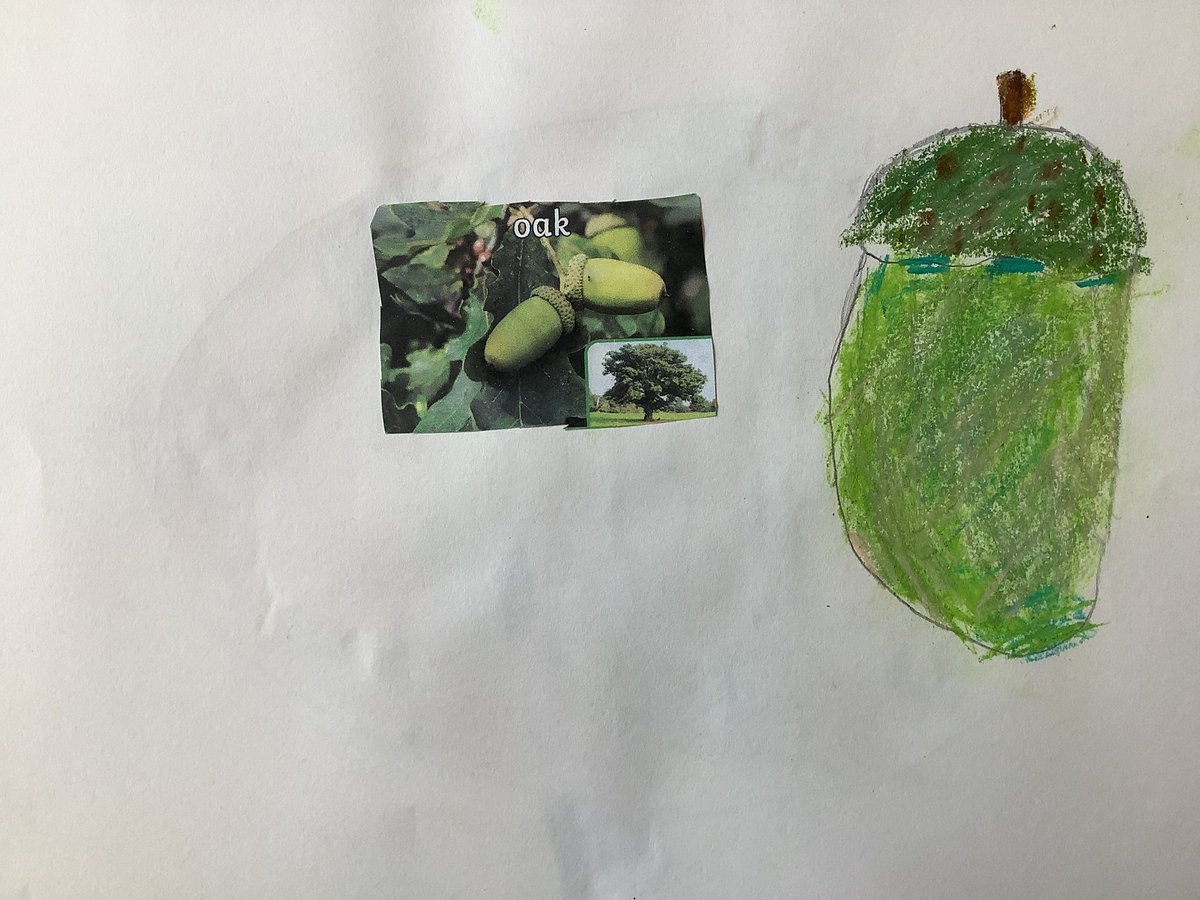 yr2stjohns tweet media