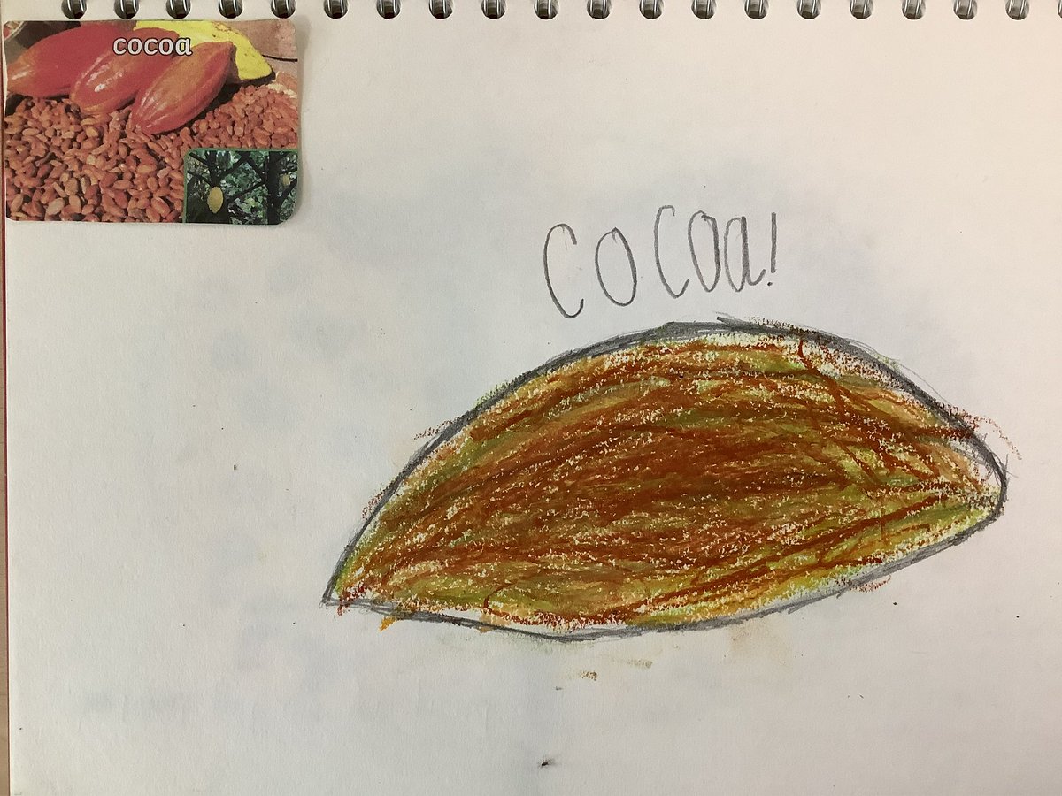 yr2stjohns tweet media