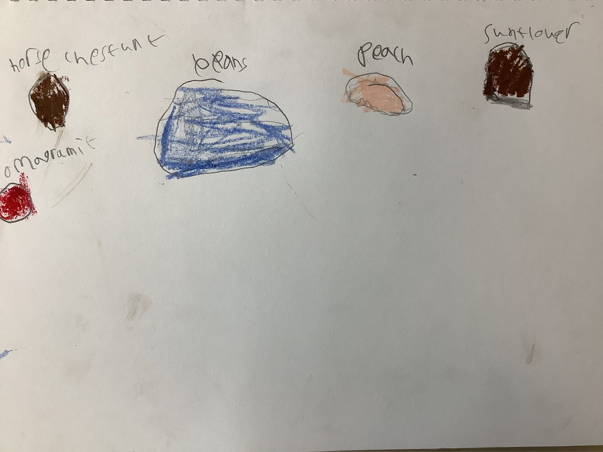 yr2stjohns tweet media