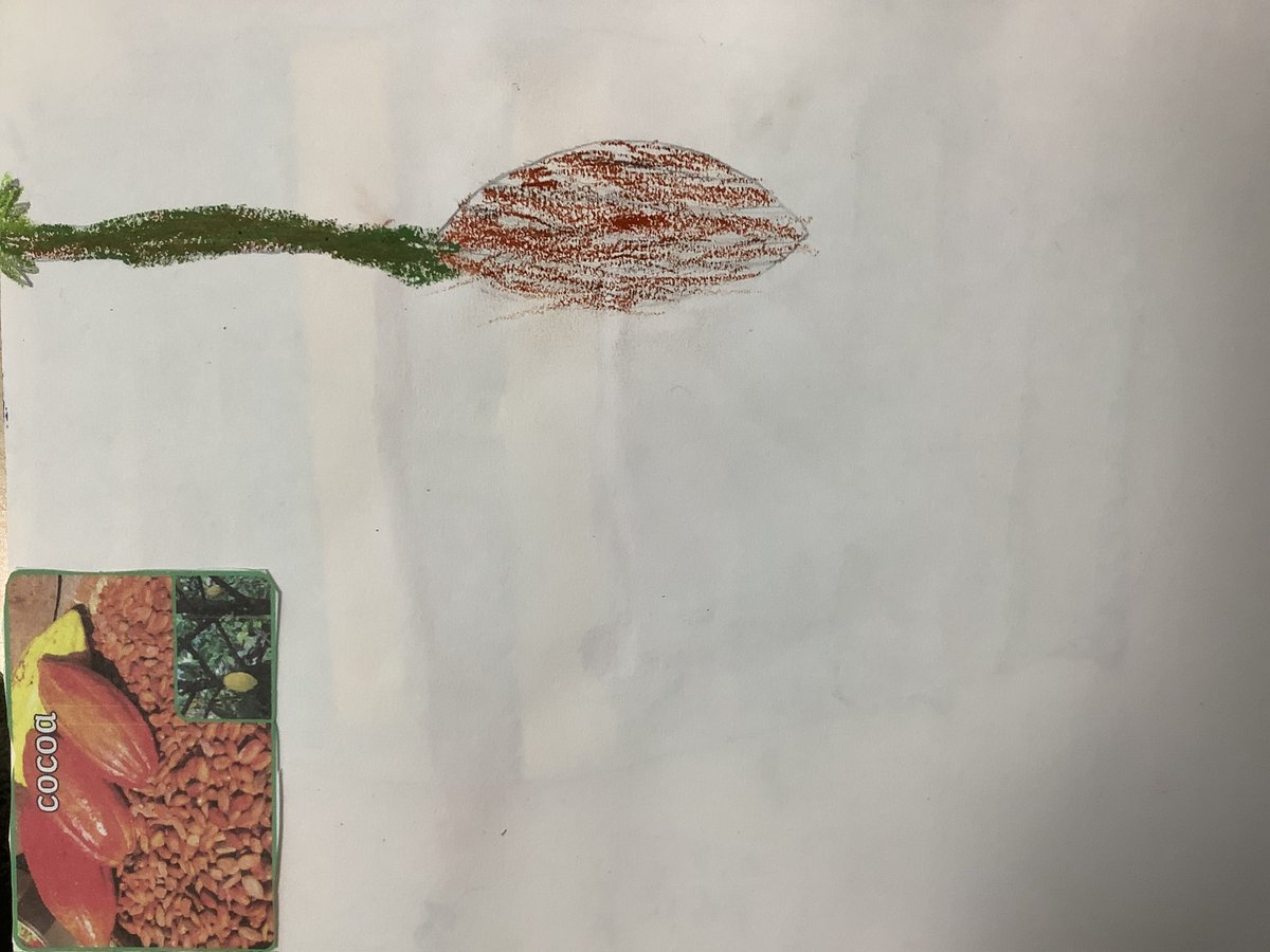 yr2stjohns tweet media