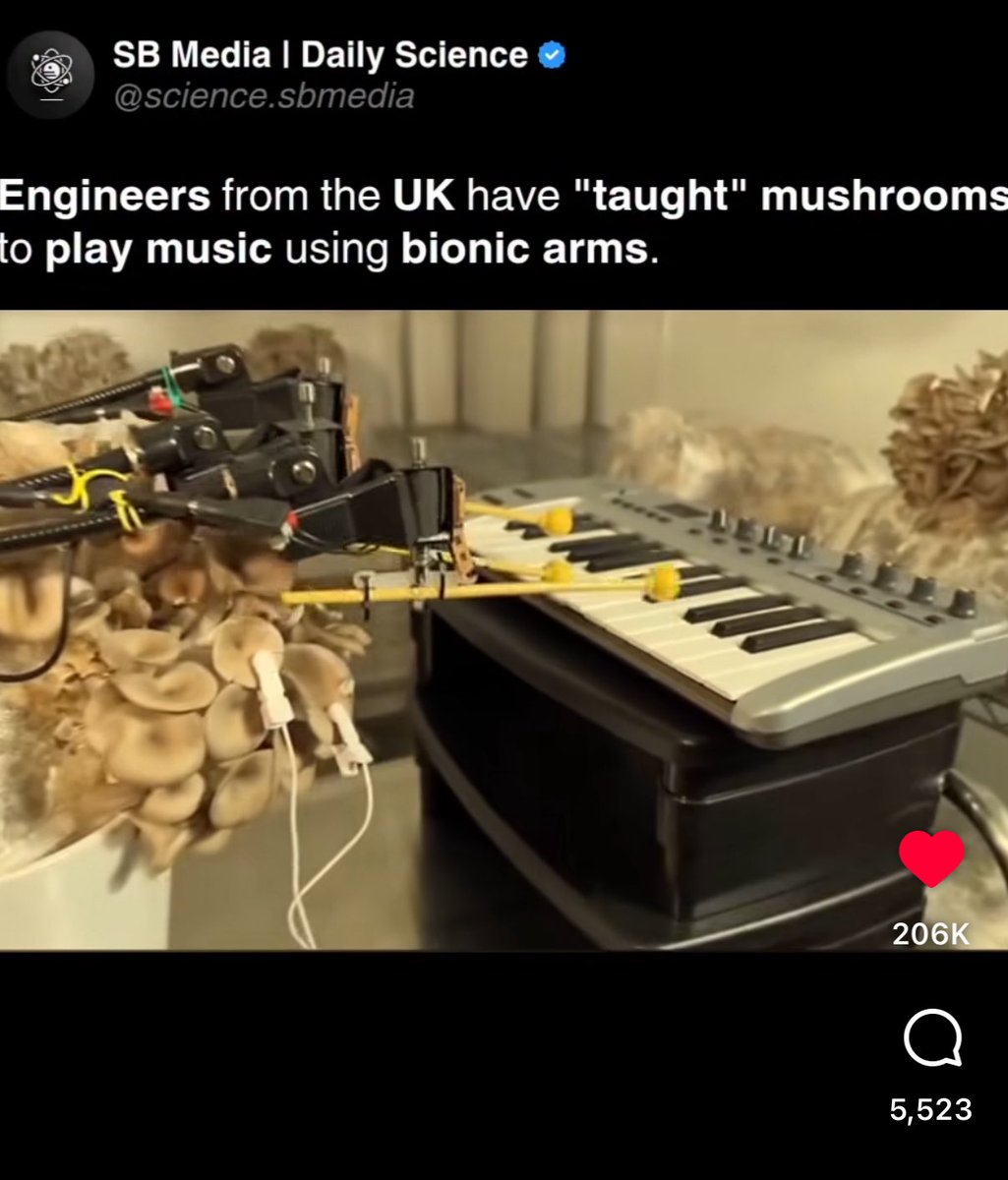 what wallace &amp; gromit would make if they were audio engineers in a music studio and a psychedelic rock band told wallace they want to make music on mushrooms