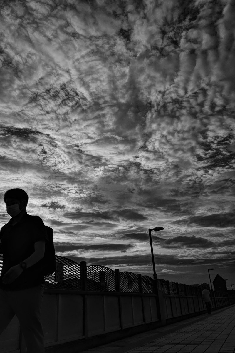 Samechan__17's tweet image. 優しい時間 2025 No187
Gentle Time
#優しい時間
#gentletime
#gr3
#モノクロ写真
#blackandwhitephotography
#白黒写真
#monochromephotography
#写真が好きな人と繋がりたい