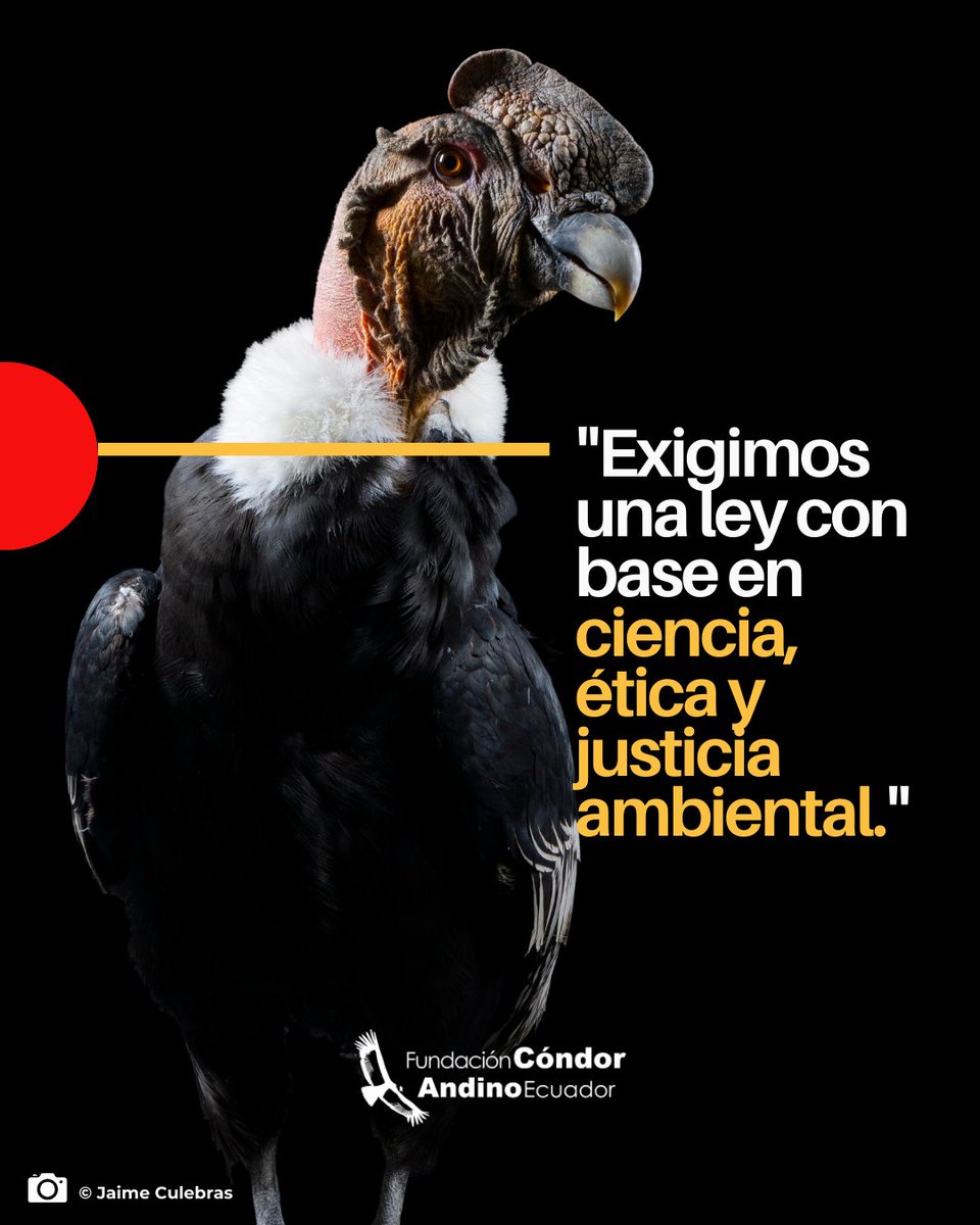 CondorFundacion's tweet image. 🌱 Necesitamos una ley que proteja, no que entregue. Una ley basada en ciencia, ética, justicia ambiental y participación ciudadana.
🔴Porque las Áreas Protegidas deben servir al bien común, no a intereses privados.
🖐️¡No es tarde para alzar la voz!
#Leyareasprotegidas