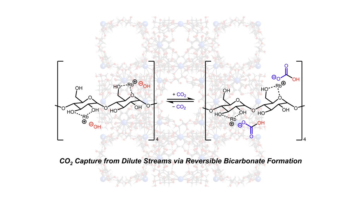 Milner Group at Cornell University tweet media