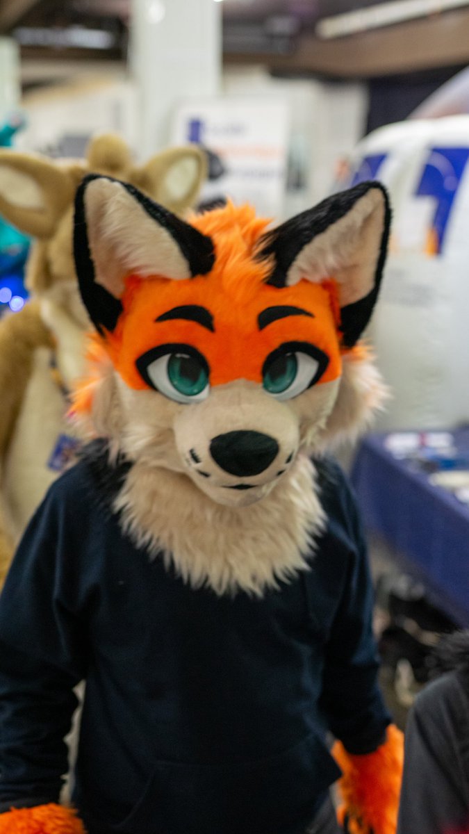 GryveAwoo's tweet image. Why are you looking at me like that ? I saw you 👀

#FursuitFriday