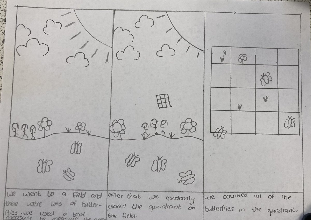 How can we study distribution whilst avoiding the heat wave? #MillaisYear9 drew some cartoon strips to show how to use quadrats and transects #MillaisScience #MillaisCreativity