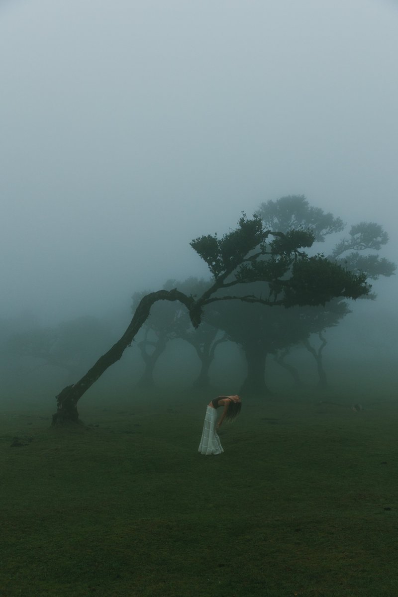 Joannehollings's tweet photo. art of isolation https://t.co/mSDHlq3MWl