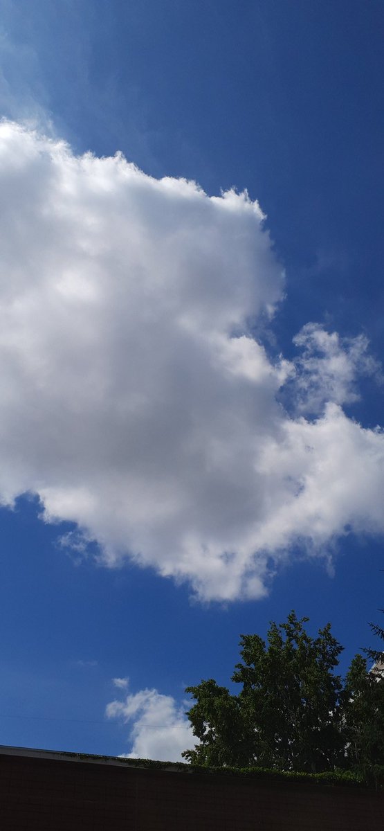 キレイな青空でした